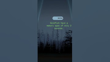 Goldfish Have a 3-Second Memory | themindmapper #didyouknow #myths