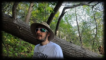 GoPro HERO 10 | First Test | 4K 60fps Video Sample [Handheld w/ Hypersmooth and Horizon Leveling]