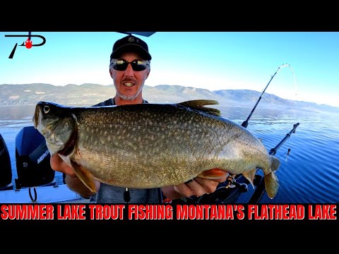 Flathead Lake Summer