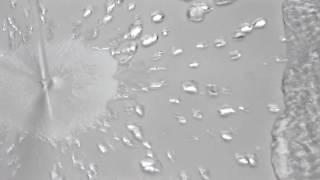 Superhydrophobic Fountain by Arthur Carabott