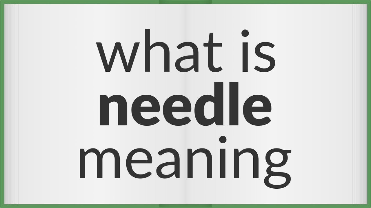 Needle   meaning of Needle