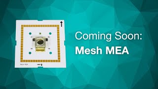 Celebrity Mesh MEA for organoid research | Teaser Net Worth