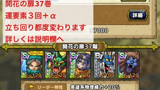 【ドラクエタクト】開花の扉　37巻　クリア運要素3箇所＋α 詳しくは説明欄をご覧下さい