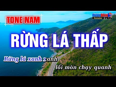 Rừng Lá Thấp Hoàng Dũng Karaoke - Rung la thap karaoke nhac song tone nam