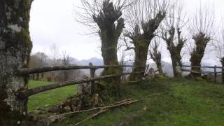 VALLE DEL RÍO MEDIO. ORLÉ (ASTURIAS) 2'57''