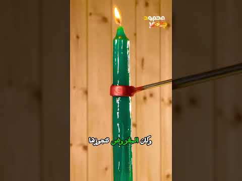 اكتشفت ان جوزي وبنت خالته كانوا بيحبوا بعض