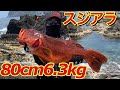 悲願達成！ショアジギングで80センチ6.3キロのスジアラが釣れました！！