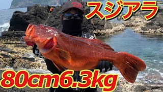 悲願達成！ショアジギングで80センチ6.3キロのスジアラが釣れました！！