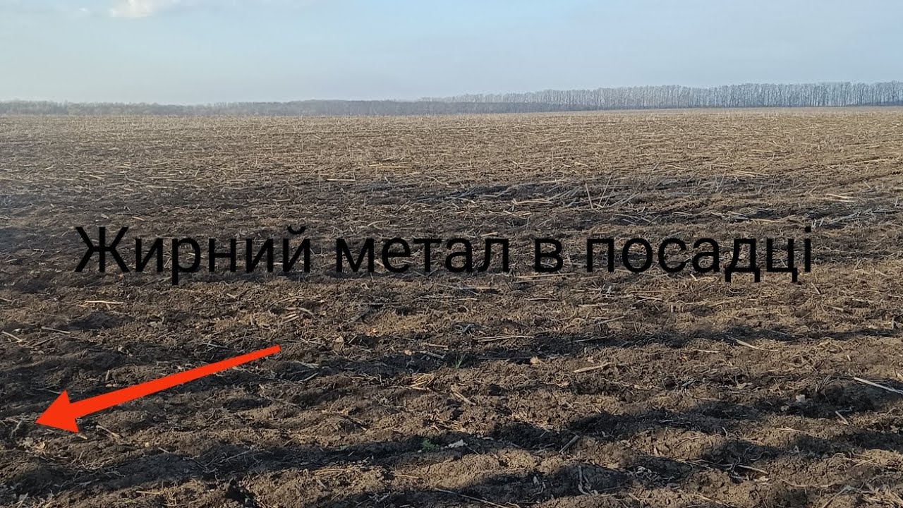 Розвідка.Знайшов посадку з крупним Залізом ВІД С.Г ТЕХНІКИ #рекомендации #коп 