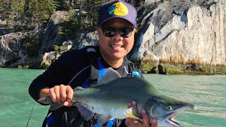 Day out in Howesound. Pink Salmon Run 2023.