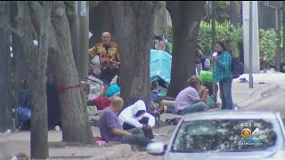 Celebrity South Florida prepares for cold snap Profile