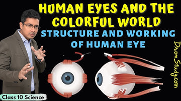 Human Eye | Structure and Working of Human Eye | Human Eye and the Colorful World | Class 10 Science