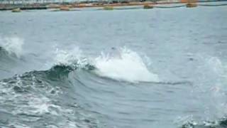 Sanyo HD 1010 300fps test