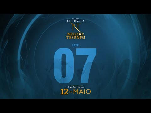 LOTE 07 - MACF 532
