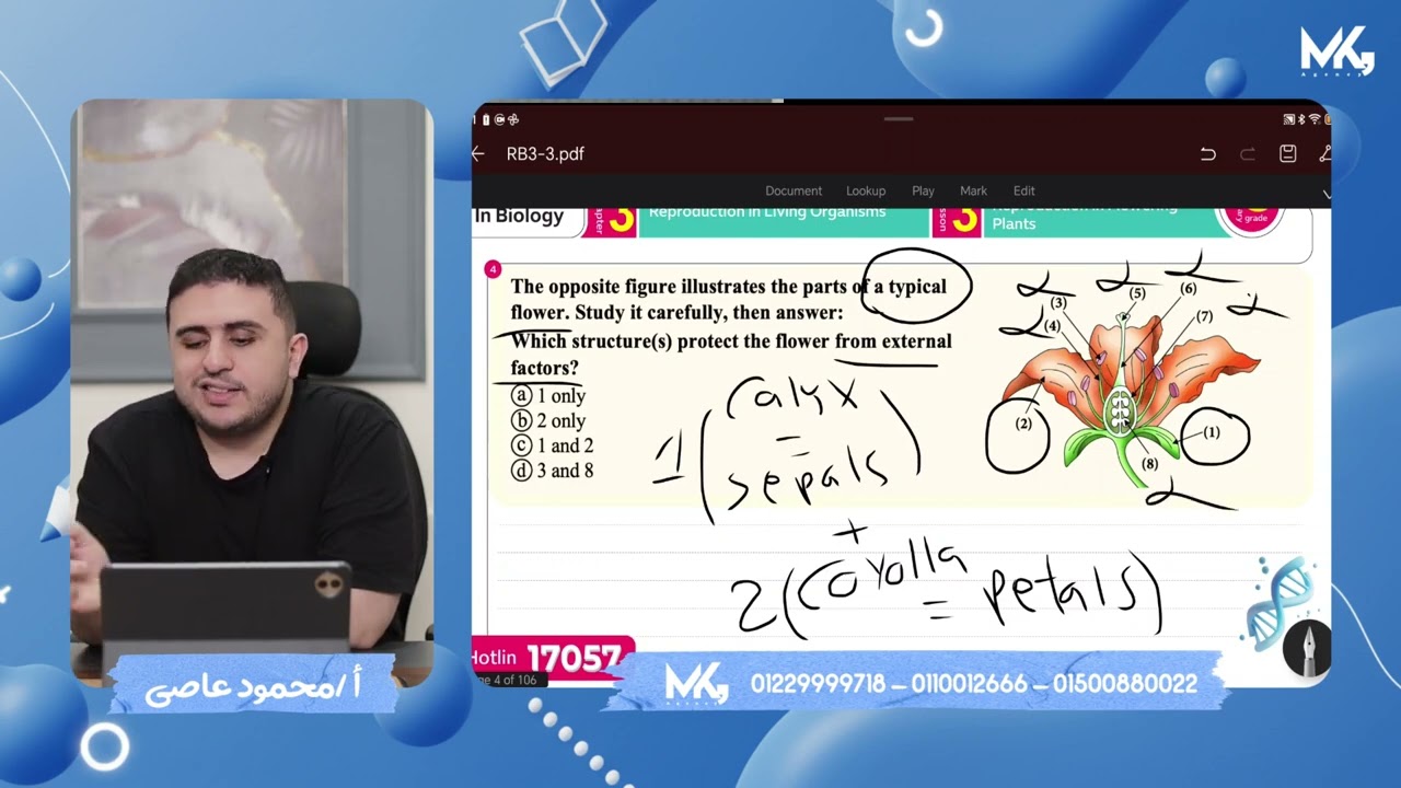 Important questions on reproduction in flowering plants 🍎