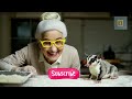 What REALLY Happens When You Keep a Sugar Glider as a Pet?