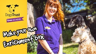 Digging deep! Create a quick and easy enrichment box | Dogs Trust