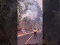 Mantén limpia tu comunidad ¡Actúa! No más Fuego #laprevenciónestareadetodos