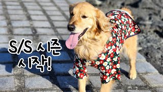 Spring new short-sleeved T-shirt/all-in-one/jacket (event included♥) by 나렝아치 NaRengAchi 3,154 views 1 month ago 4 minutes, 36 seconds