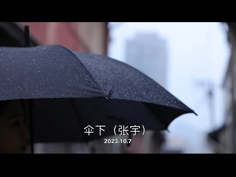 #口琴 張宇《傘下》
