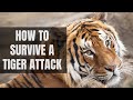 How to survive a tiger attack|| बाघ के हमले से कैसे बचे