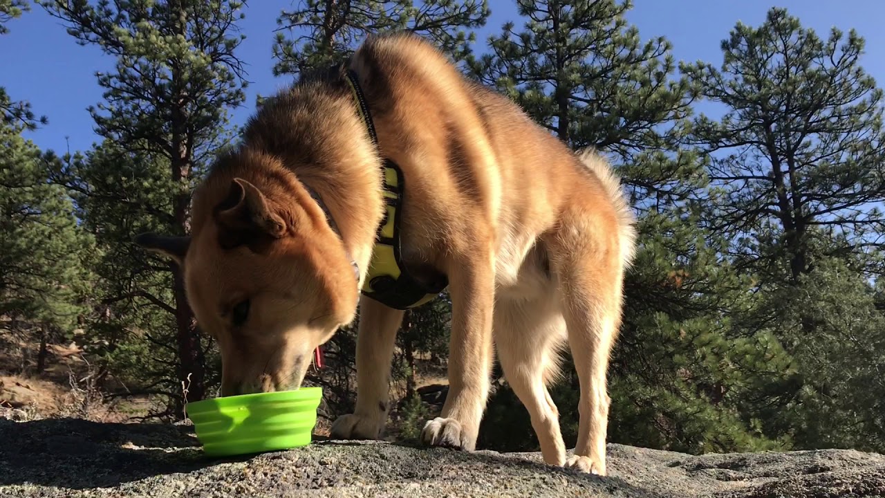 South Boulder Creek via Walker Ranch Trail Happy Halloween 2020