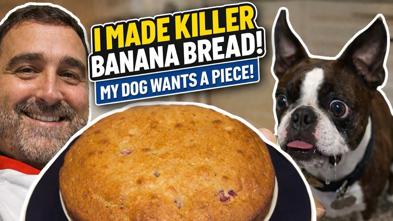 Я изменила свой рецепт бананового хлеба… и мой бостон-терьер оценил его на 5 из 5 бананов 🍌