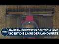 BAUERN-PROTESTE: Landwirtschaft in der Krise - So ist die Lage in Deutschland