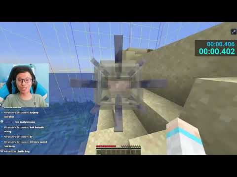 Minecraft DONG% RSG WR in 0.00s