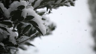 Yıkık Gönlüm & Kar Manzaraları Eşliğinde Hüzünlü Arabesk Müzik 🎶⚡️