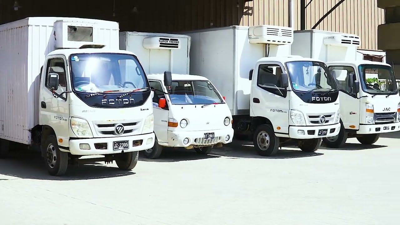 Pharmalink Corporate Video - Short Version 2