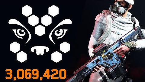 NEW META AR? Chameleon Build MELTS Legendary (The Division 2)