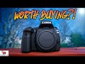 The Canon 80D! Worth Buying in 2020?!