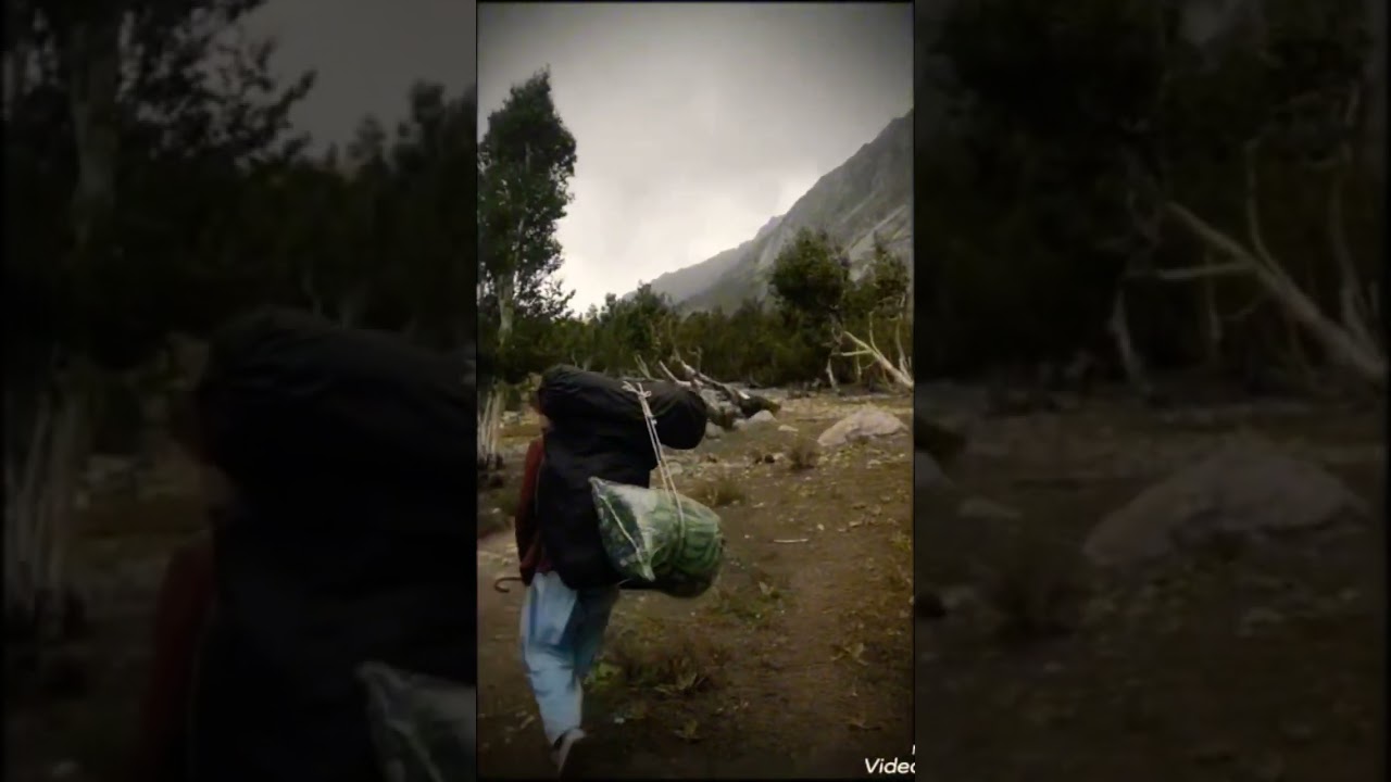 Chasing Heights: My Trekking Journey Steps Through Nature A Trek to Remember