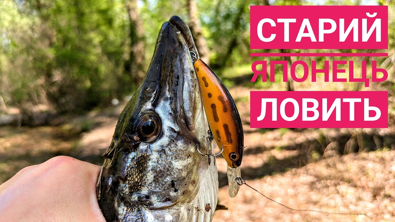 Цей старий японський воблер розірвав весняну щуку! Smith Marsh SP