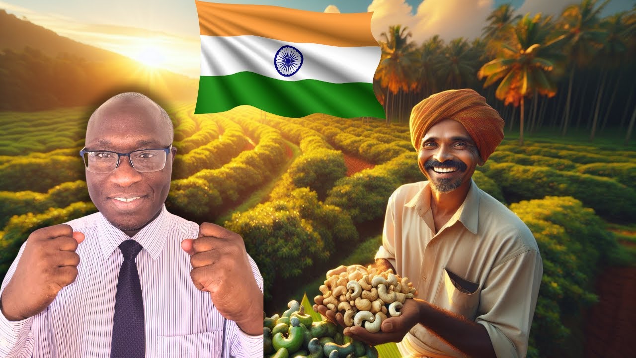 Kerala: Unveiling The Cashew Capital of the World