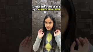 *Pollen grains* | Sexual Reproduction in Flowering Plants #shorts #neet #biology