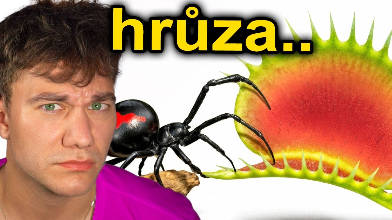 PAVOUK VS MASOŽRAVÁ KYTKA!