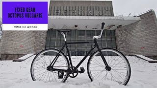 Велосипед с фиксированной передачей на шипах | Лучший велосипед для зимы в городе?
