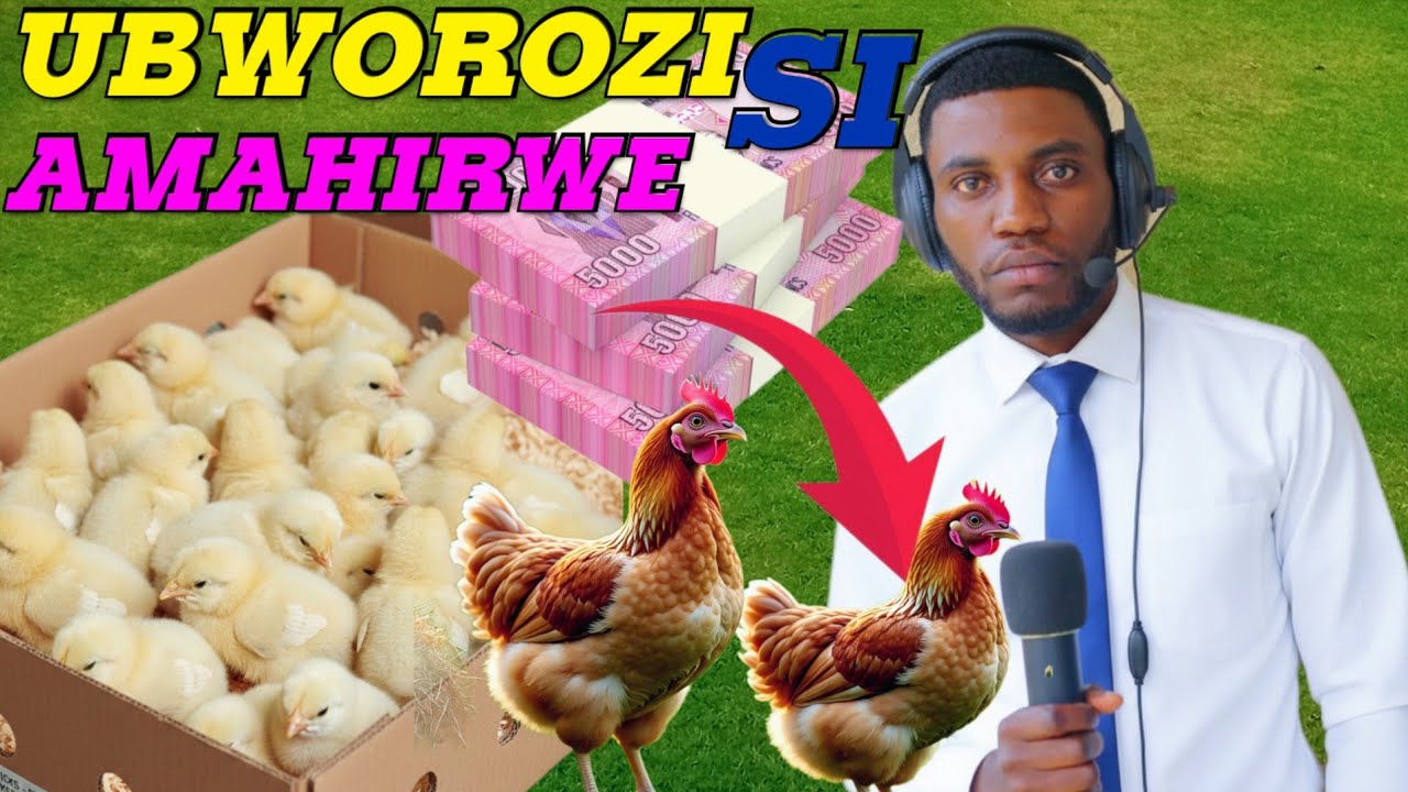 NTUZONGERE GUTEKEREZA NKABAKENE #UBWOROZI BUFITE CASH💸 💰 