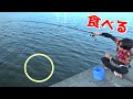 夏の多摩川はモンスターだらけだったｗｗ【東京の魚釣り】