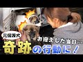 保護犬３頭をお迎えした日…緊張でうずくまると思いきや奇跡が起こりました。