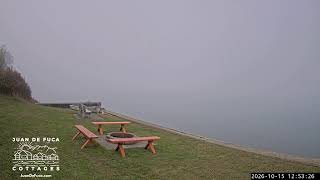 Information 🌊 LIVE Dungeness Bay Webcam from Juan de Fuca Cottages | Sequim WA Coastal Views 🦅🐟 Guide