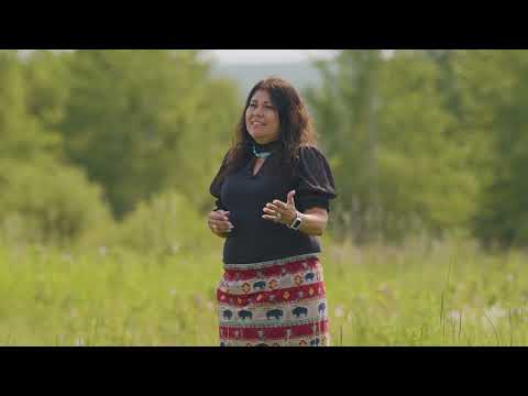 Indigenous Alberta Healthy Communities Approach
