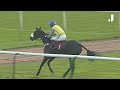 Five of the CRAZIEST moments in jumps racing