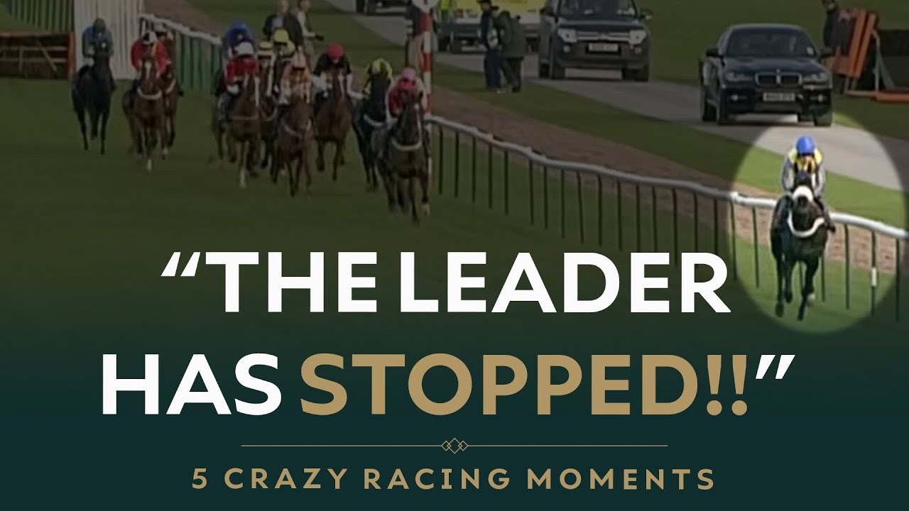 Пять самых безумных моментов в скачках с препятствиями