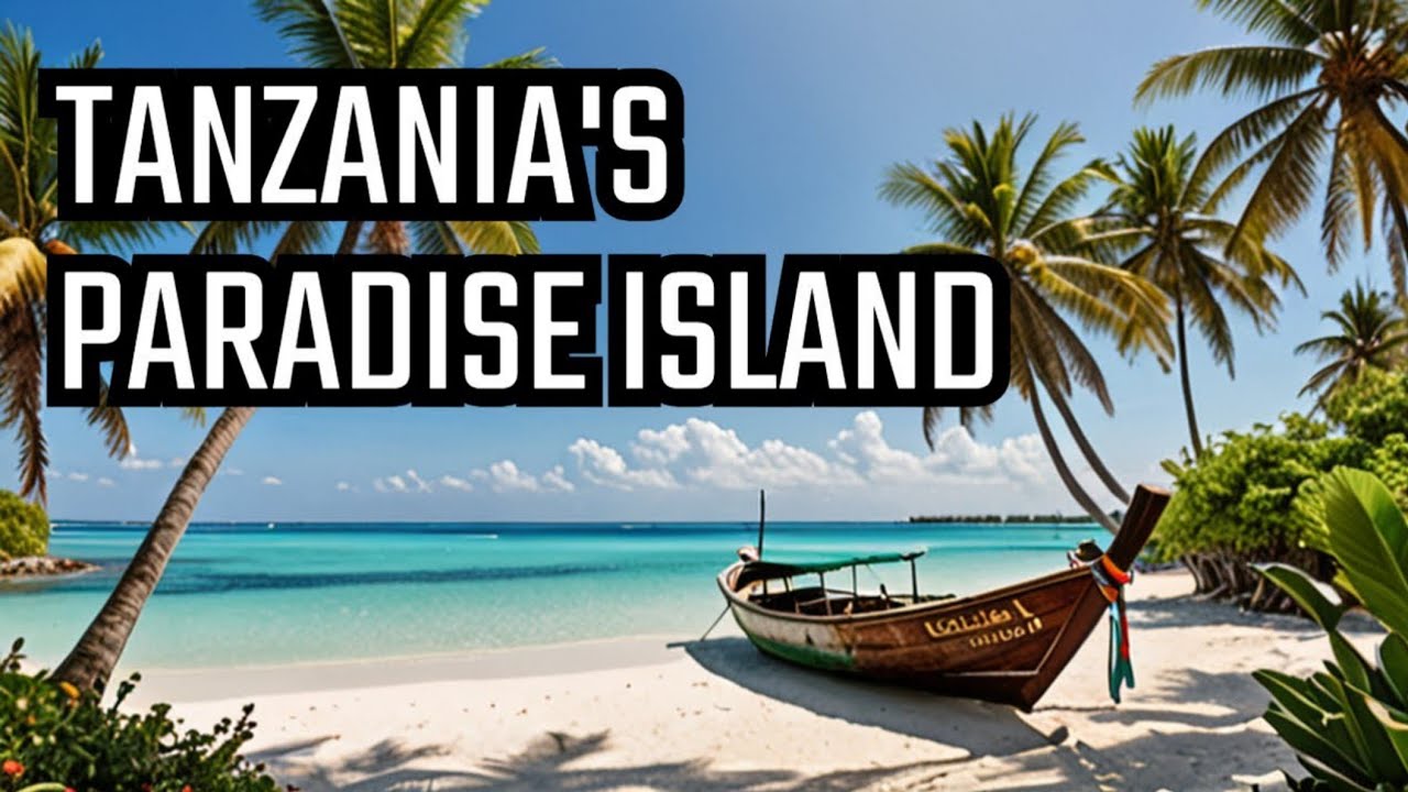 Must-See Attractions in Zanzibar Islands!