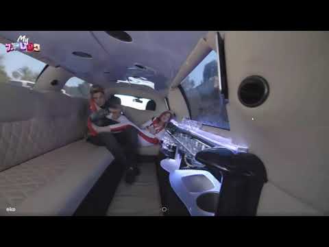 דלת 1 פסטיגל 