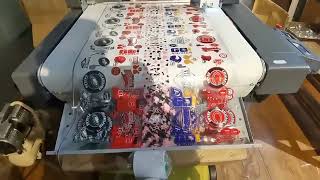Flatbed cutting machine cut Crystal Logo
