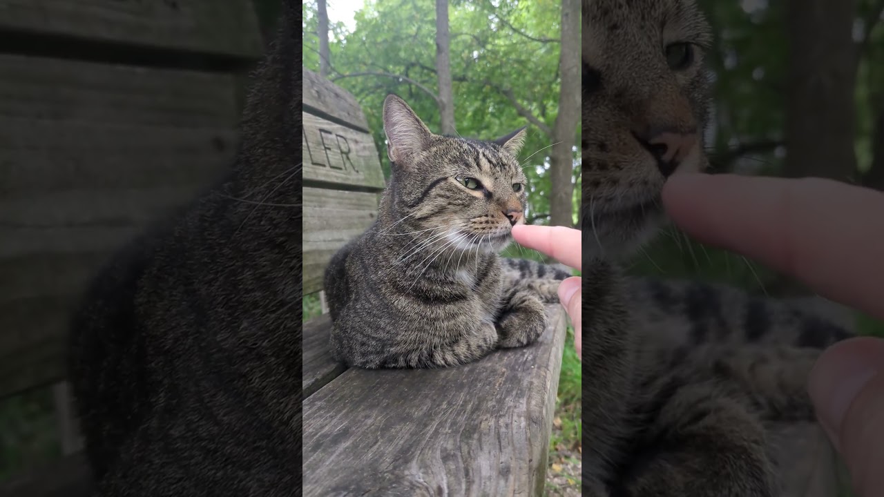 Houston on the bike trail 